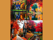 Trắc nghiệm tâm lý: Ai sẽ trở nên giàu có trong gia đình bạn?