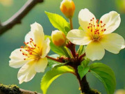 Eva tám - 4 vị khách này đến nhà là dấu hiệu cuộc sống của bạn sẽ ngày càng thịnh vượng