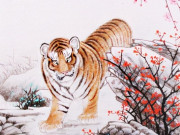 Eva tám - Tử vi tuần mới 8-14/12: Dần tiền tài suôn sẻ, Tý có quý nhân dẫn đường