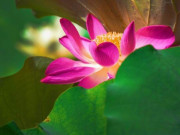 Người nói "không" với 3 việc này khi dự tiệc thường không đơn giản, rất tỉnh táo