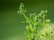 Người nói “không” với 3 thói quen này cả đời không lo thiếu tiền, sẽ giàu sang phú quý