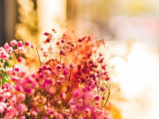 Eva tám - Mối quan hệ tốt đến đâu, người khác tặng bạn 3 món đồ này, tuyệt đối không được nhận