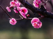 Eva tám - Người sống như này thực sự khôn ngoan và có tầm nhìn xa