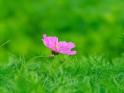 Eva tám - Người thực sự khôn ngoan không bao giờ khoe khoang 2 điều, kẻ nông cạn lại thường rêu rao khắp nơi