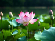 Eva tám - Cách khôn ngoan nhất để xoay chuyển vận mệnh: Gói gọn trong 3 câu nói này