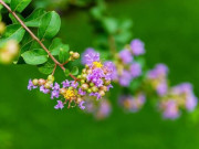 Eva tám - Thành công đến từ sự bí mật: 5 điều người khôn ngoan tránh thảo luận với người khác