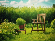 Eva tám - Người càng đơn giản càng hạnh phúc