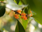 Eva tám - Người sở hữu 3 điều này khí chất vượt thời gian, càng có tuổi càng cuốn hút