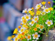 Eva tám - Bản lĩnh của người phụ nữ thông minh: Gói gọn trong 6 chữ khi đối đãi với đàn ông