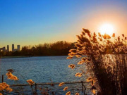 Eva tám - Khai vận đầu xuân: 20 thói quen nhỏ giúp bạn mở ra một năm 2026 rực rỡ và thịnh vượng