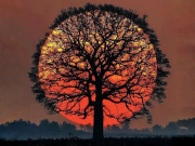 Eva tám - Trắc nghiệm tâm lý: Một ánh nhìn thấu suốt hậu vận, cuộc đời bạn sẽ viên mãn như ý?