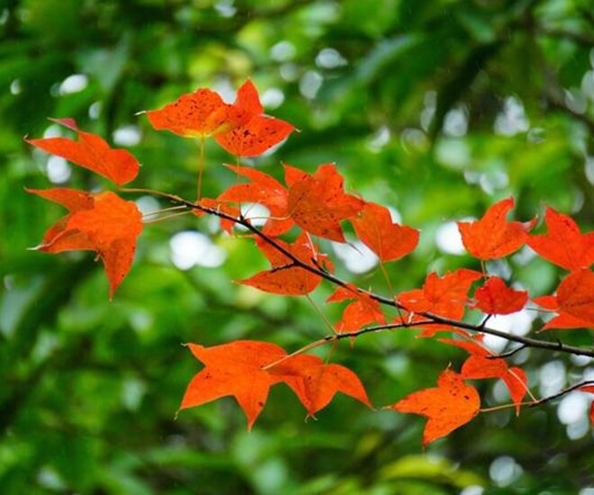 Phụ nữ càng thích làm 3 điều này càng khôn ngoan, từng trải, không hề đơn giản - 1