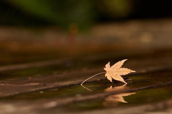 Phụ nữ càng thích làm 3 điều này càng khôn ngoan, từng trải, không hề đơn giản - 3