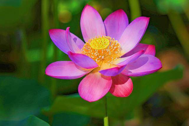 Người nói amp;#34;khôngamp;#34; với 3 việc này khi dự tiệc thường không đơn giản, rất tỉnh táo - 2