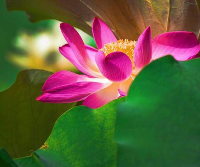 Người nói amp;#34;khôngamp;#34; với 3 việc này khi dự tiệc thường không đơn giản, rất tỉnh táo - 1