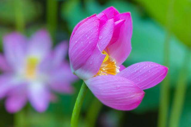 Người nói amp;#34;khôngamp;#34; với 3 việc này khi dự tiệc thường không đơn giản, rất tỉnh táo - 3