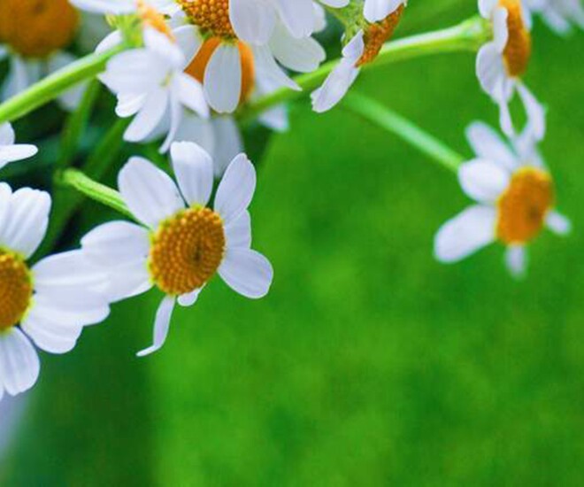 Người làm được 3 điều này khi 40-55 tuổi thực sự rất khôn ngoan, đáng nể - 1