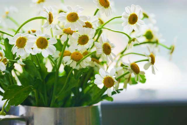 Người làm được 3 điều này khi 40-55 tuổi thực sự rất khôn ngoan, đáng nể - 3