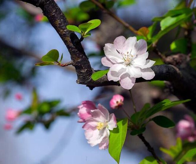 Người nói “không” với 3 thói quen này cả đời không lo thiếu tiền, sẽ giàu sang phú quý - 1