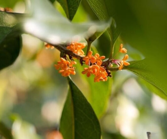 Người sở hữu 3 điều này khí chất vượt thời gian, càng có tuổi càng cuốn hút - 1