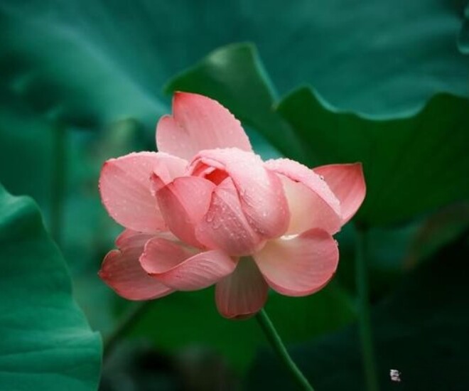 Người sở hữu 3 điều này khí chất vượt thời gian, càng có tuổi càng cuốn hút - 2