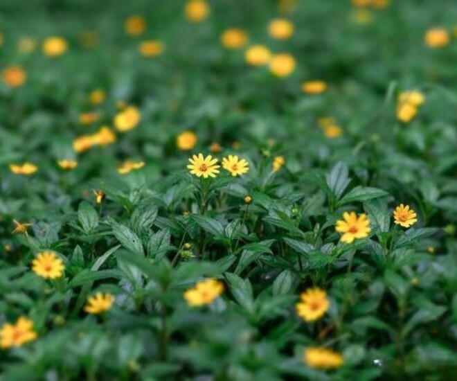 Người sở hữu 3 điều này khí chất vượt thời gian, càng có tuổi càng cuốn hút - 3