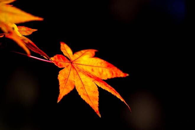 Nhớ 4 câu này và bạn sẽ hạnh phúc! - 3