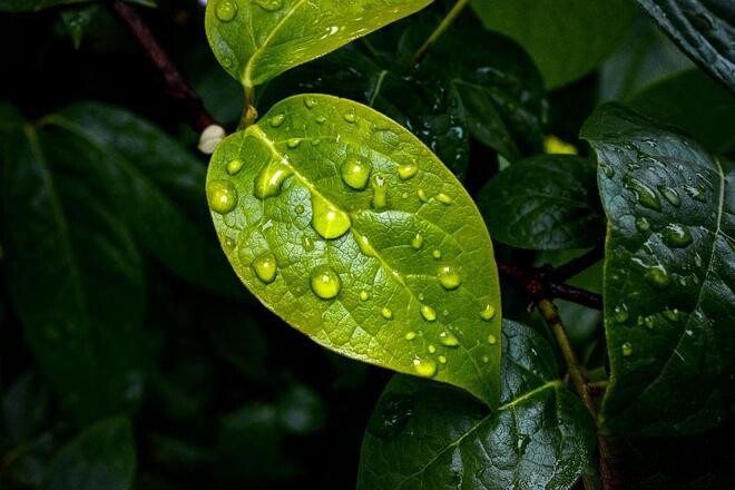 Nhớ 4 câu này và bạn sẽ hạnh phúc! - 4