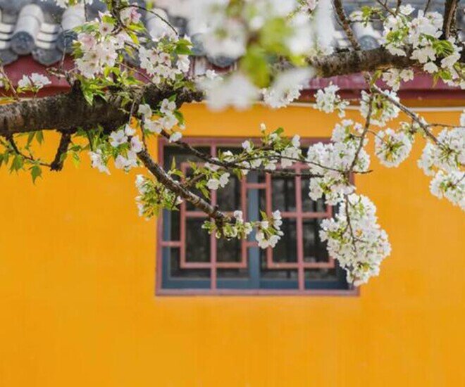 Những người xứng đáng được trân trọng nhất trong cuộc đời này - 1