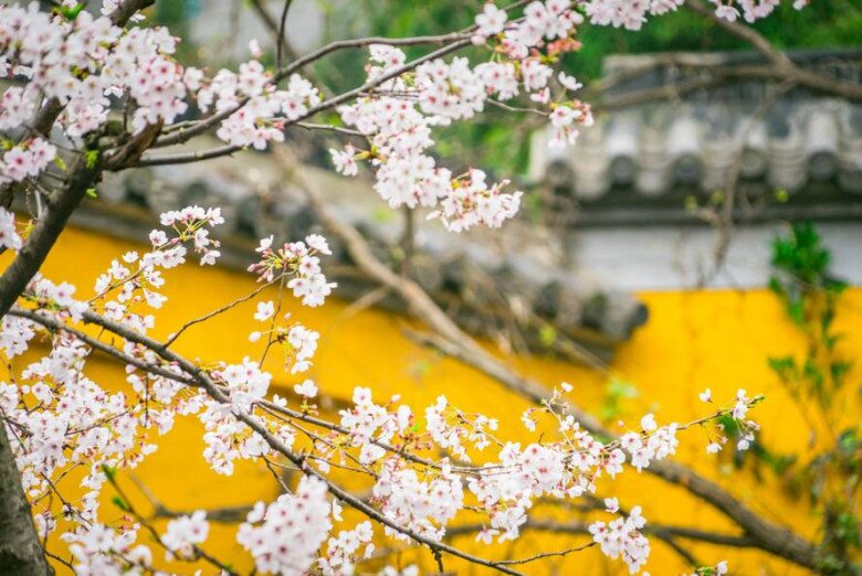 Những người xứng đáng được trân trọng nhất trong cuộc đời này - 2