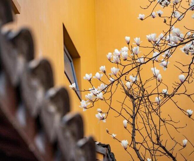 Những người xứng đáng được trân trọng nhất trong cuộc đời này - 3