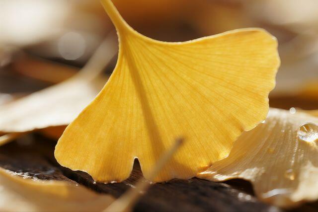 Phong thủy tốt nhất của một người phụ nữ gói gọn trong 3 chữ này - 3