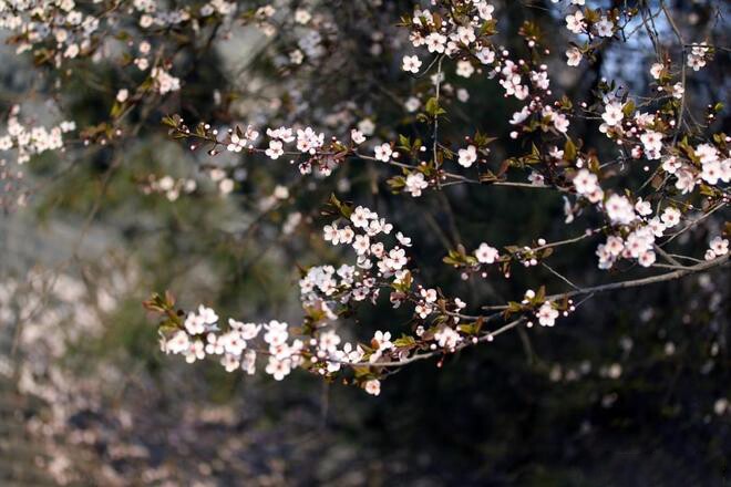 Phụ nữ có 4 thói quen này thực sự rất thông minh, không hề đơn giản - 2