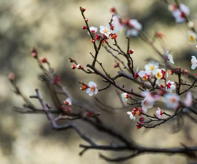Phụ nữ có 4 thói quen này thực sự rất thông minh, không hề đơn giản - 1