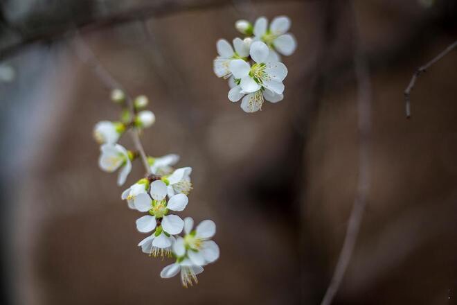 Phụ nữ có 4 thói quen này thực sự rất thông minh, không hề đơn giản - 3