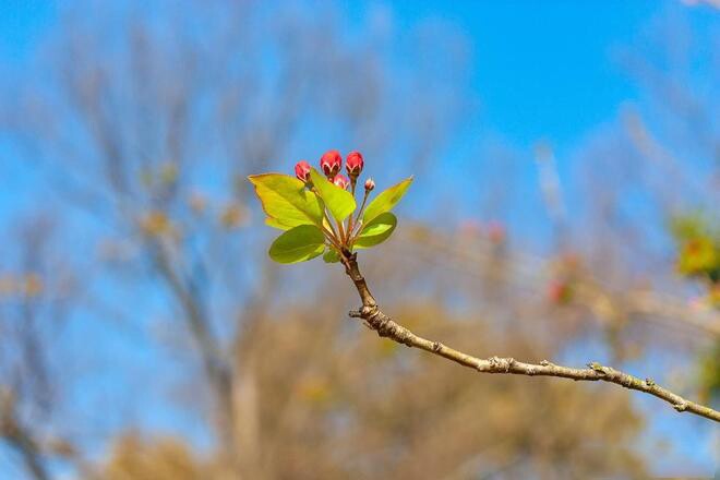Phụ nữ có 4 thói quen này thực sự rất thông minh, không hề đơn giản - 4