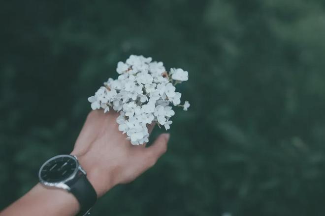 Có 3 nơi càng đến, bạn càng được lợi, hút nhiều may mắn - 3