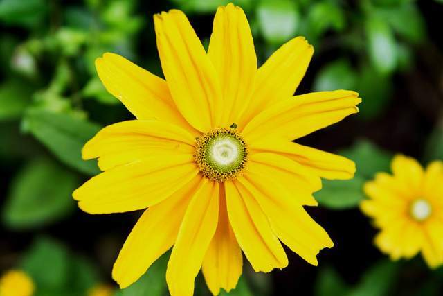 Người nhiệt tình với bạn đến đâu, nếu không cho được 3 điều này thì không đáng để bạn trao gửi chân tình - 2