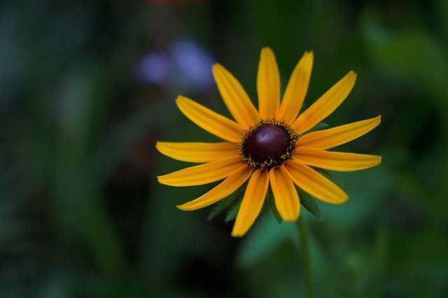 Người nhiệt tình với bạn đến đâu, nếu không cho được 3 điều này thì không đáng để bạn trao gửi chân tình - 3