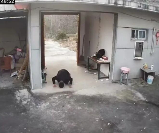 Video amp;#34;người con 8x quỳ lạy vĩnh biệt nhà cũamp;#34; gây sốt MXH, chạm đến trái tim bao người con xa quê - 1