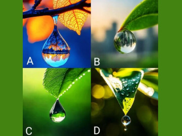 Trắc nghiệm tâm lý: Chọn một bức tranh giọt nước đẹp nhất theo trực giác của bạn