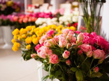 Có 3 thứ người khôn ngoan nhất định không mang khi đến thăm nhà người khác