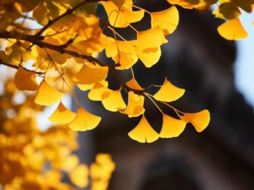 Quan hệ khăng khít đến mấy cũng phải nhớ “3 không” này, đó mới là khôn ngoan, tỉnh táo