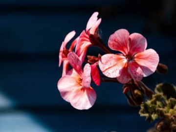 3 thói quen người khôn ngoan thường che giấu, kẻ dại lại rất thích khoe