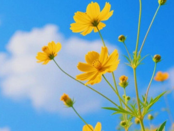 Quan hệ khăng khít đến mấy, kiên quyết rời xa người thích nói với bạn 3 câu này mới là khôn ngoan