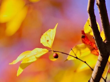 Tuổi trung niên, nhớ 3 câu nói này và cuộc sống của bạn sẽ dễ dàng hơn