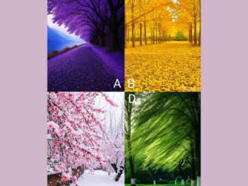 Trắc nghiệm tâm lý: Phong cảnh bạn thích tiết lộ tương lai sau tuổi 50 giàu có hay còn chật vật