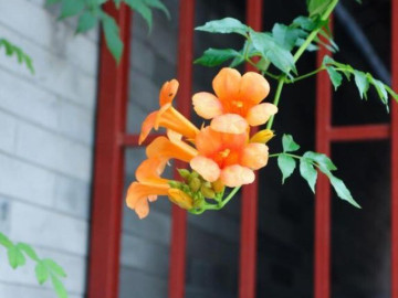 Học cách nói 2 chữ này, cuộc đời sẽ ngày càng suôn sẻ, gặp gỡ những điều tốt đẹp