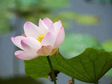 3 kiểu người mang lại may mắn cho bạn, gặp được nhất định đừng bỏ lỡ