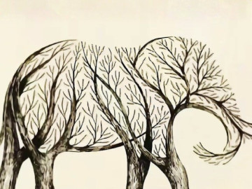 Trắc nghiệm tâm lý: Khi nào bạn sẽ gặp được quý nhân dẫn đường chỉ lối?